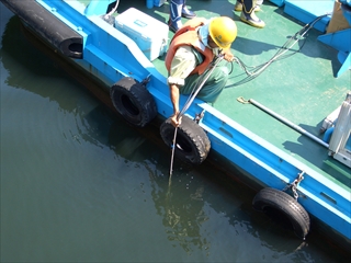 魚類生息状況調査