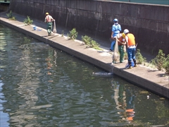 魚類生息状況調査