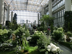 奇跡の星の植物園