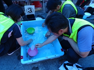 2019年平野金魚すくい大会