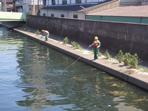 平野川調査