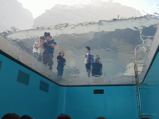 金沢21世紀美術館