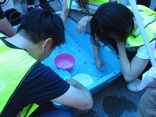 競技中２